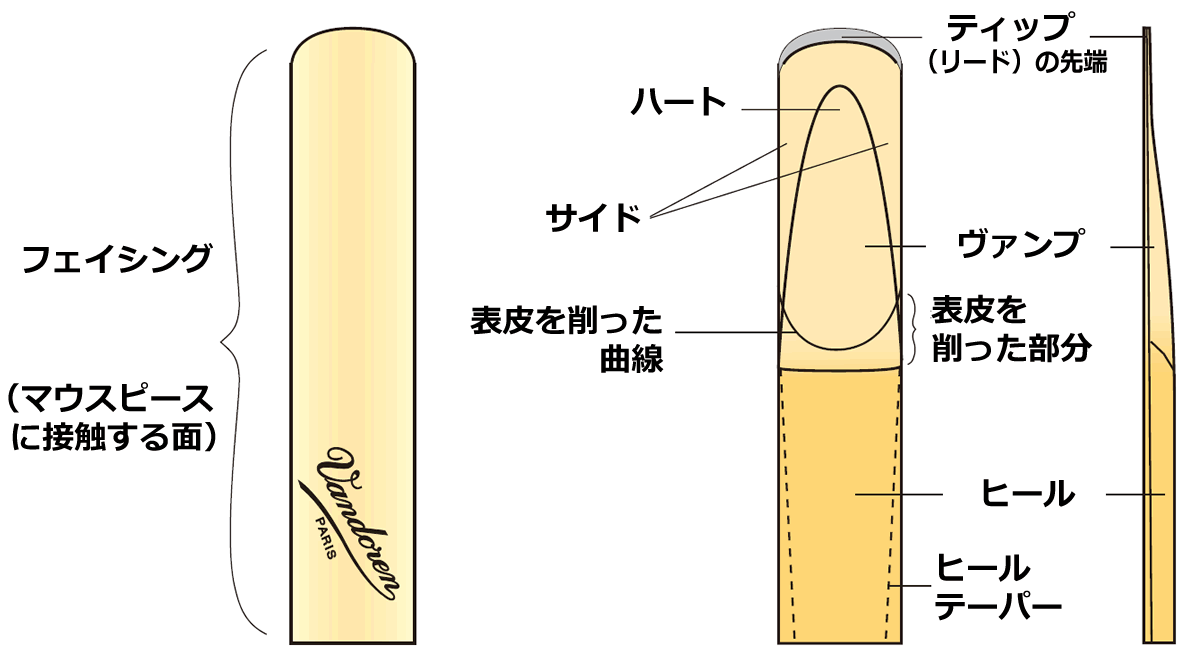 クラリネット】おすすめリード特集 ～VANDREN編～ | UNISON